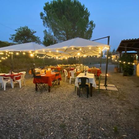 Podere Ripabianca Riparbella Exteriör bild