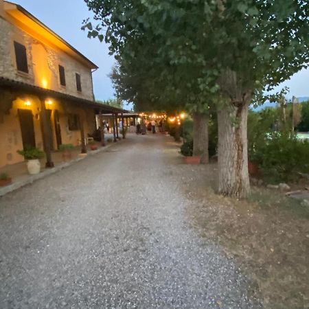 Podere Ripabianca Riparbella Exteriör bild