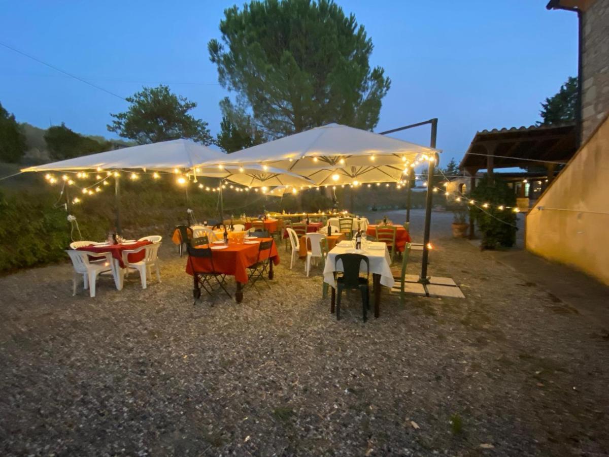 Podere Ripabianca Riparbella Exteriör bild