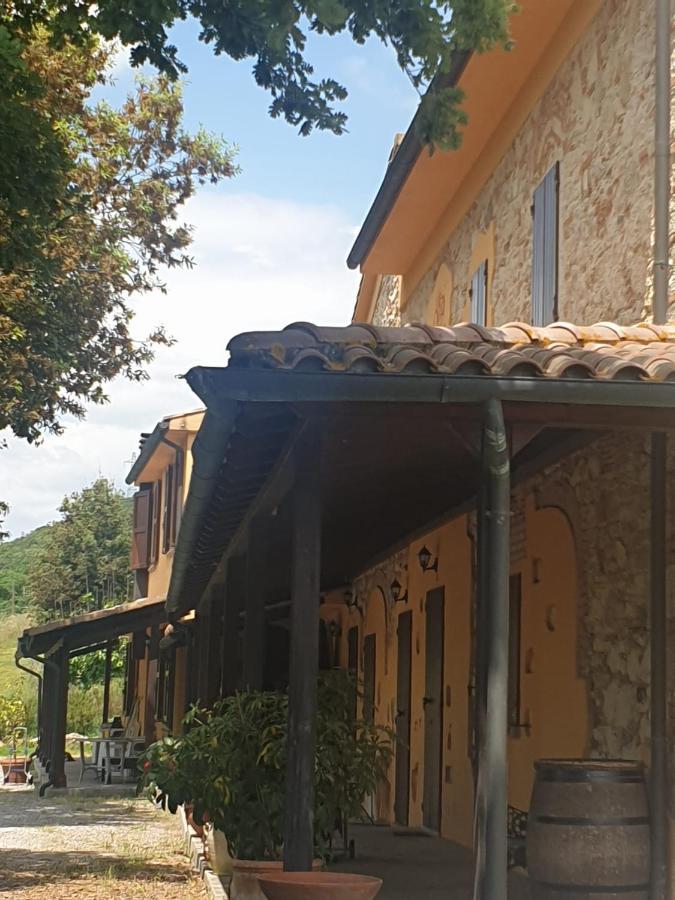Podere Ripabianca Riparbella Exteriör bild