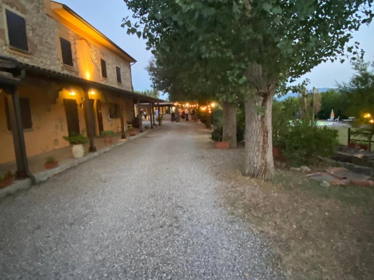 Podere Ripabianca Riparbella Exteriör bild